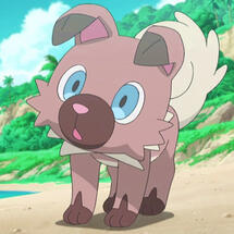 rockruff from pokemon barking